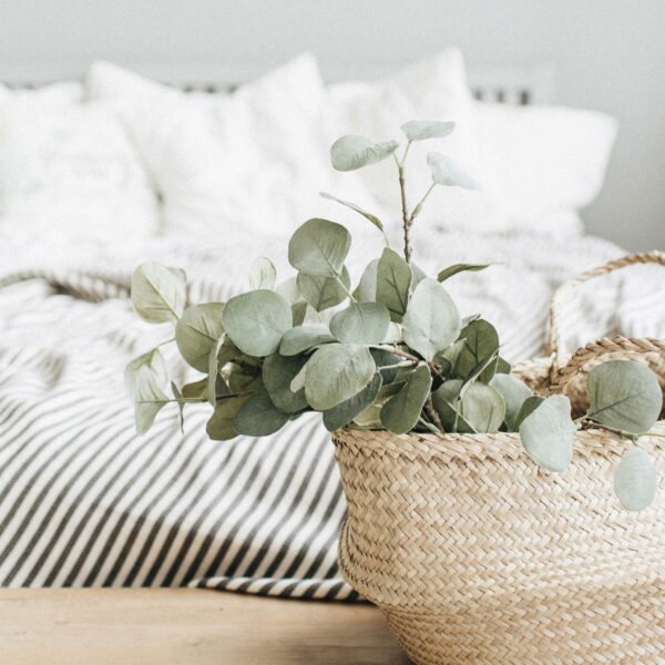 New Additions to our Lavender Eucalyptus Mint Line
