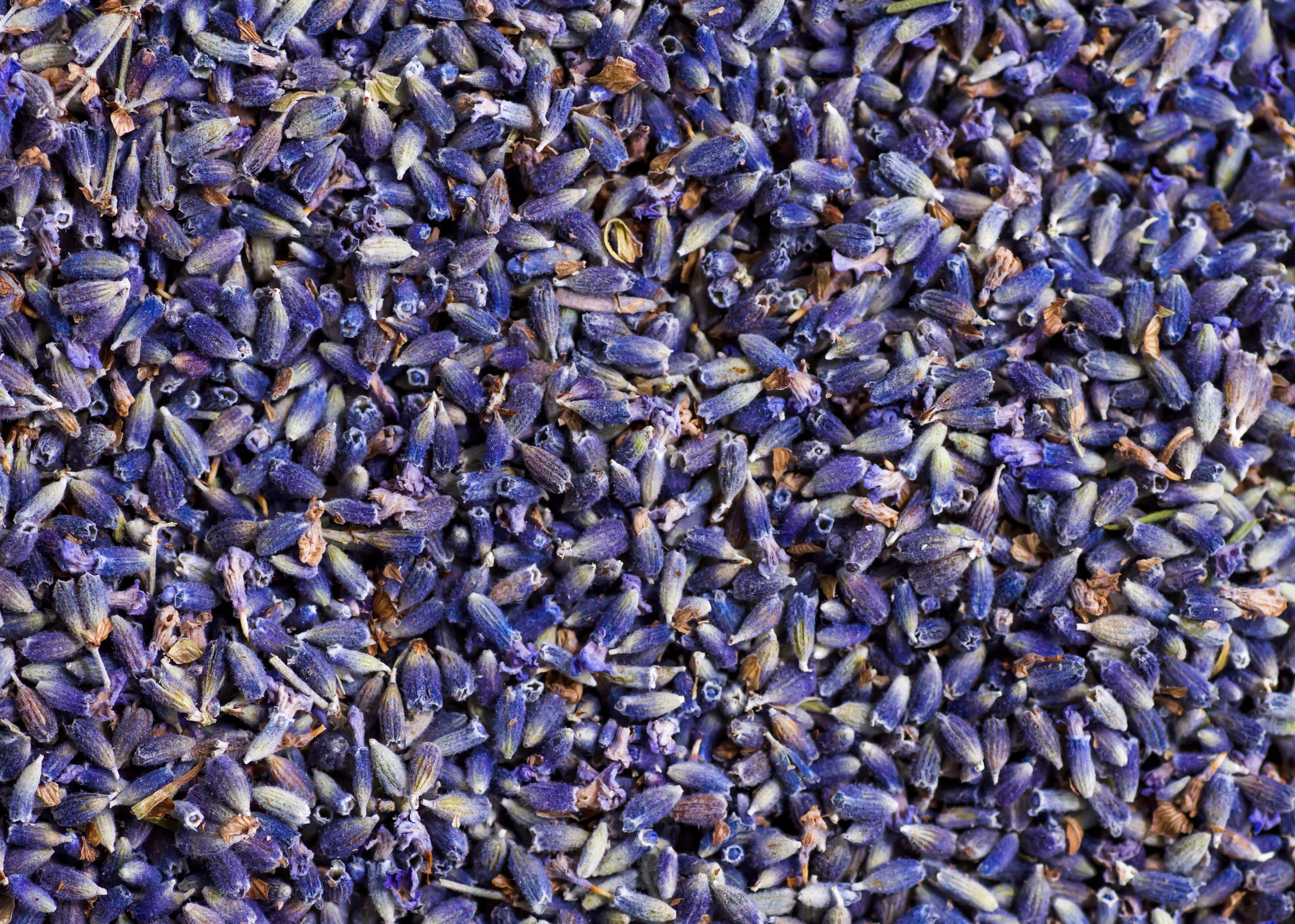 Dried Lavender Buds for crafting