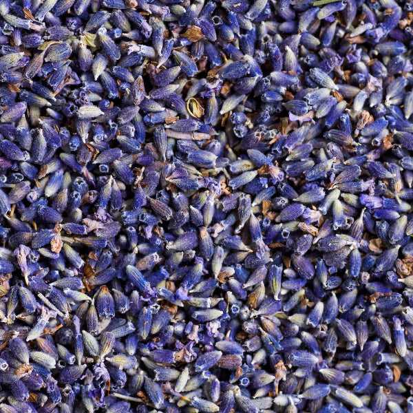 Dried Lavender Buds for crafting