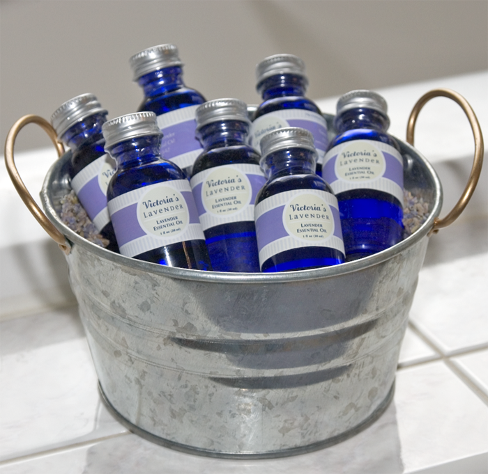 Lavender Essential Oil