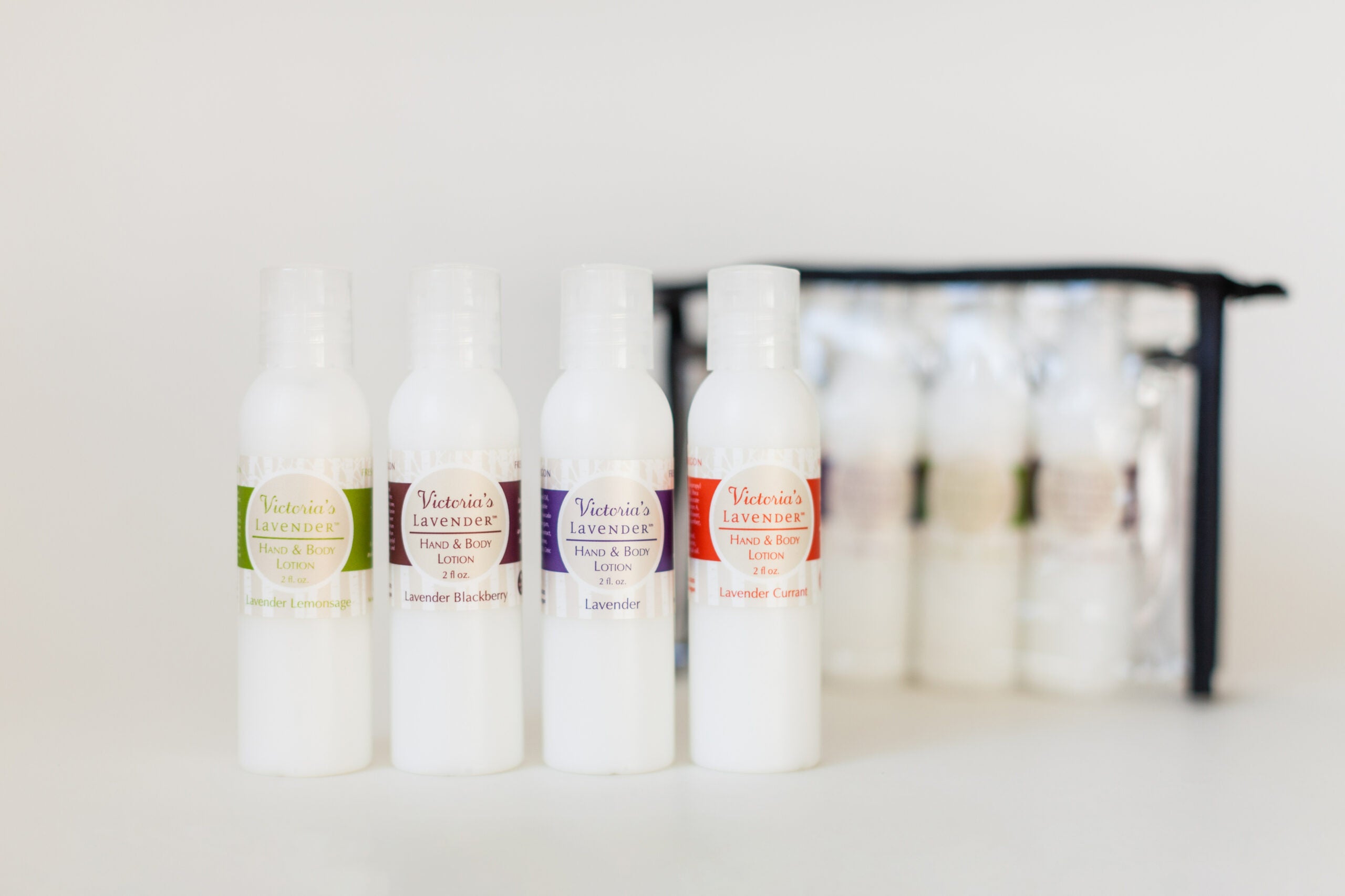 Travel size lotion sampler kit