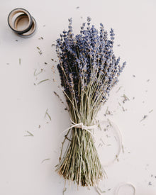 Dried Lavender Bouquets - English