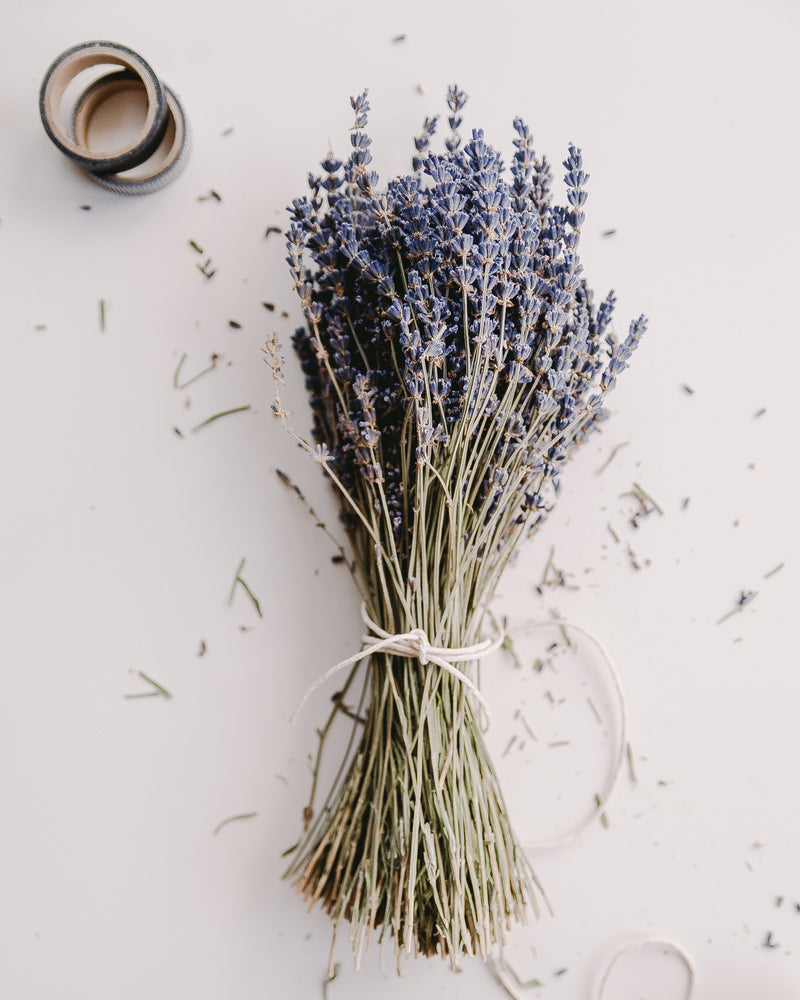Dried Lavender Bouquets - English