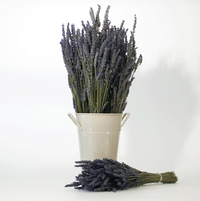 Dried French Lavender Bouquets