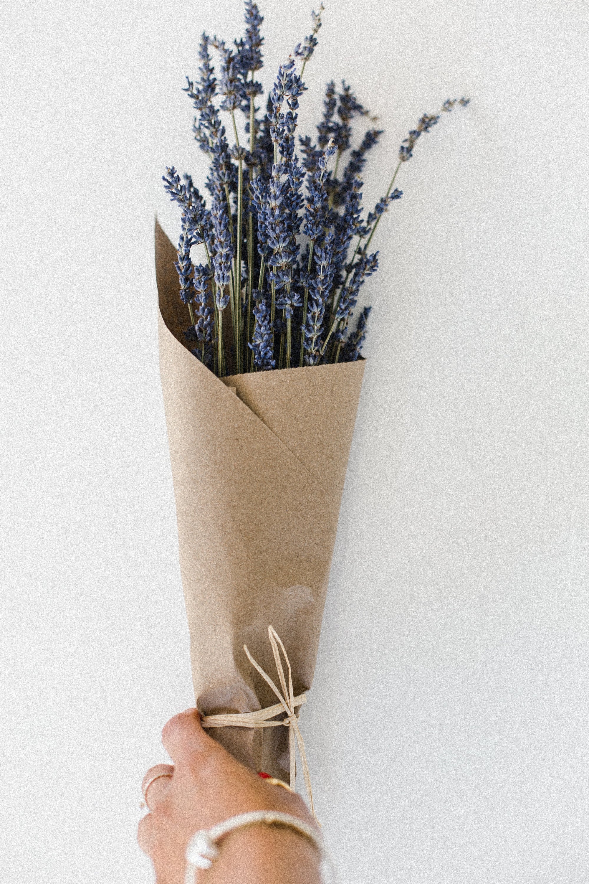 lavender plant dried Dried French Lavender Bouquets: Fragrant Home Decor